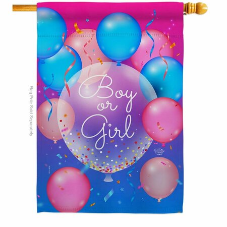 CUADRILATERO Boy or Girl Celebration New Born Double-Sided Garden Decorative House Flag, Multi Color CU3905189